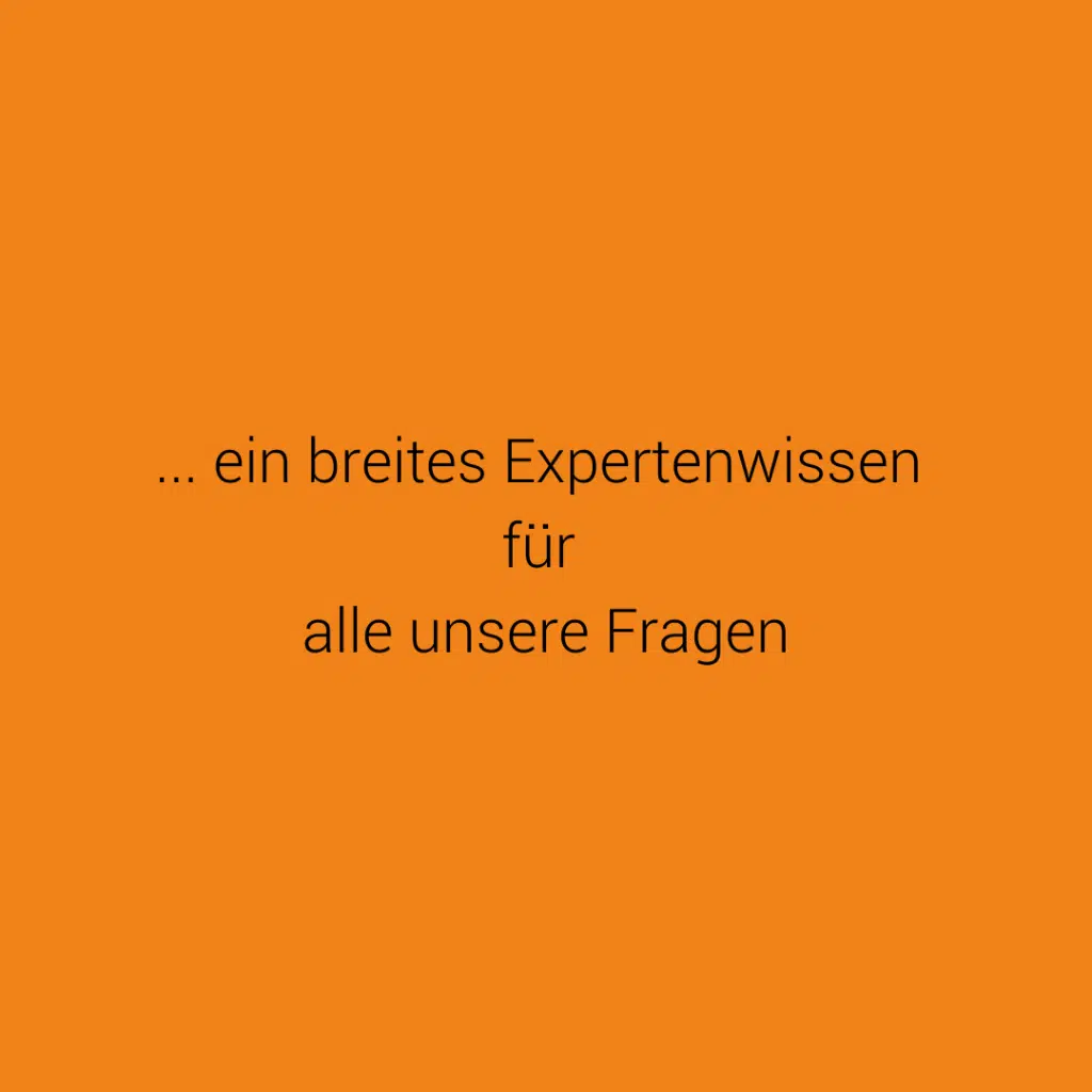 Digitalisierung im Projektbusiness Podcast 116 Slide 6