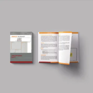 PRINCE Bluesheet Anleitungsheft
