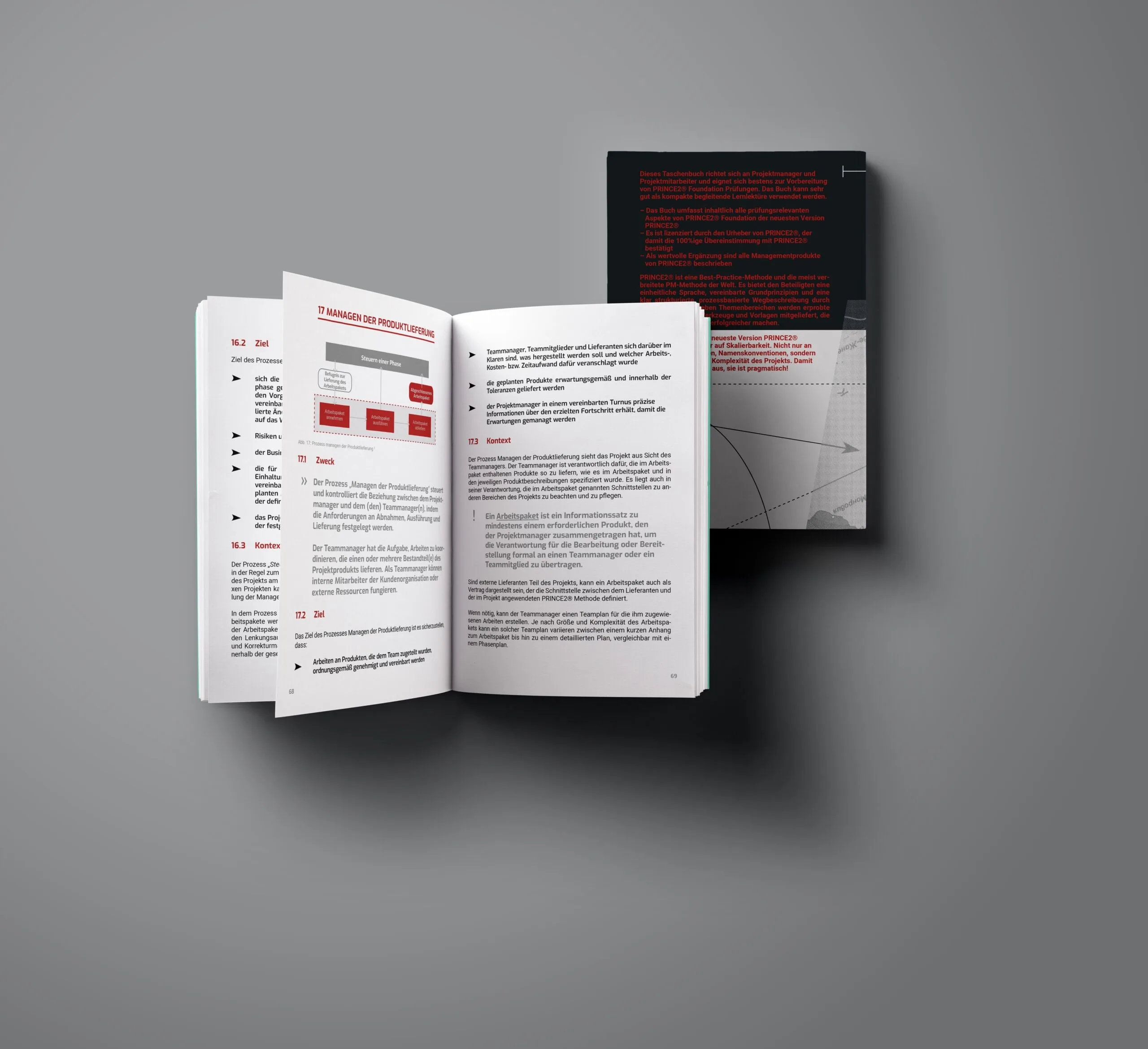 PRINCE2® KURZ & BÜNDIG – Bild 6